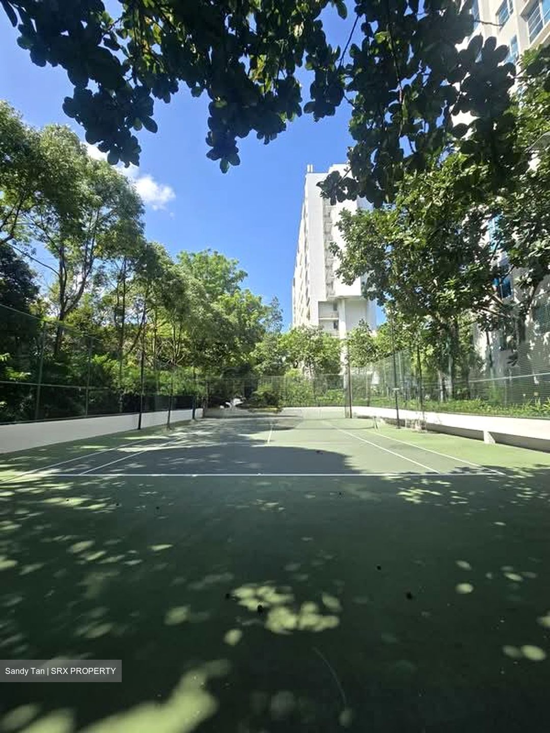 Starville (D14), Condominium #581355301